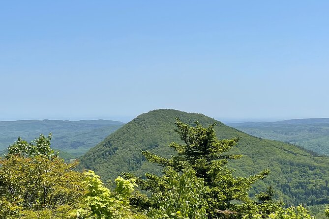 Full Day Green Season Hiking in Sapporo and Hokkaido with onsen. - Lunch is useful, not just a small extra