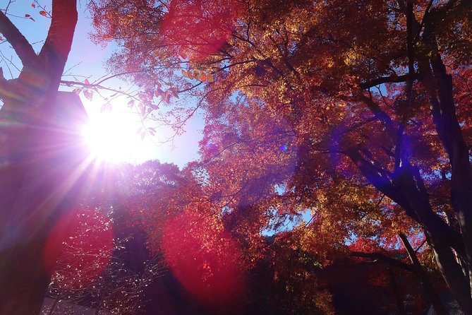 Full Day Hiking Tour at Mt.Takao including Hot Spring - Why Mt. Takao makes such a good Tokyo side trip