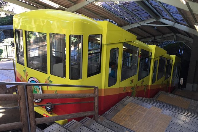 Full Day Hiking Tour at Mt.Takao including Hot Spring - Reaching the 599-meter summit