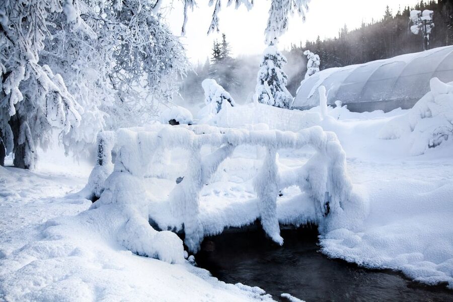 Full Day Ice Museum and Chena Hot Springs Tour - Who will enjoy this tour most?