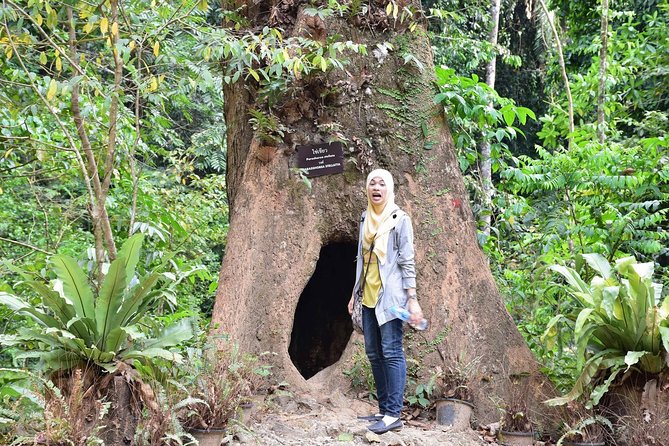 Full-Day Jungle Tour Including Tiger Cave Temple, Crystal Pool and Krabi Hot Springs - Emerald Pool and the forest walk