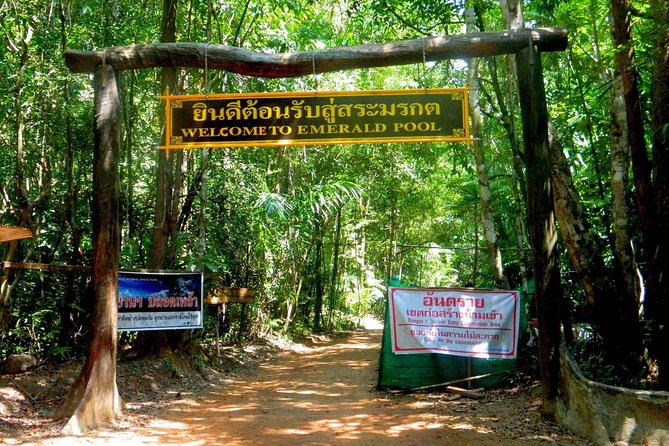 Full-Day Jungle Tour Including Tiger Cave Temple, Crystal Pool and Krabi Hot Springs - Thai lunch with little time to linger