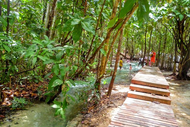 Full-Day Jungle Tour Including Tiger Cave Temple, Crystal Pool and Krabi Hot Springs - Guide style: useful coordinator or true guide?