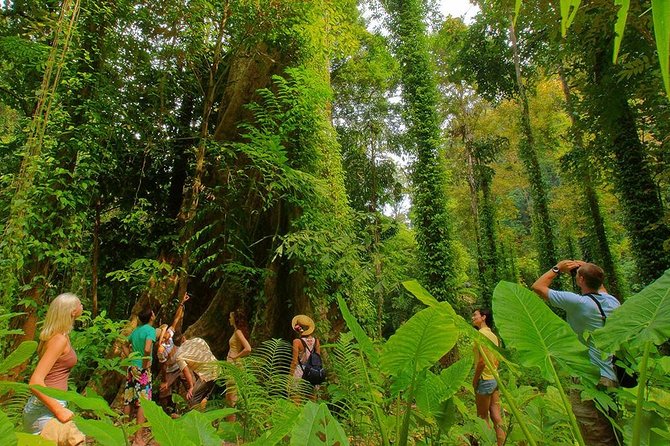 Full-Day Jungle Tour Including Tiger Cave Temple, Crystal Pool and Krabi Hot Springs - How rushed is the seven-hour schedule?