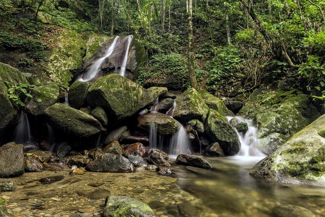Full-Day Kinabalu Park and Poring Hot Spring Day Trip - Key points before you book