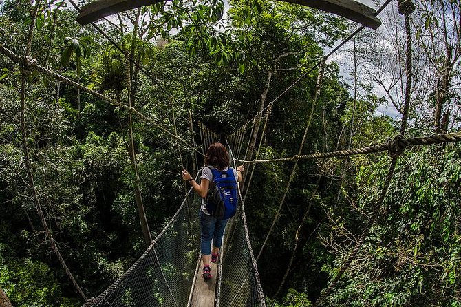 Full-Day Kinabalu Park and Poring Hot Spring Day Trip - What this day trip really offers