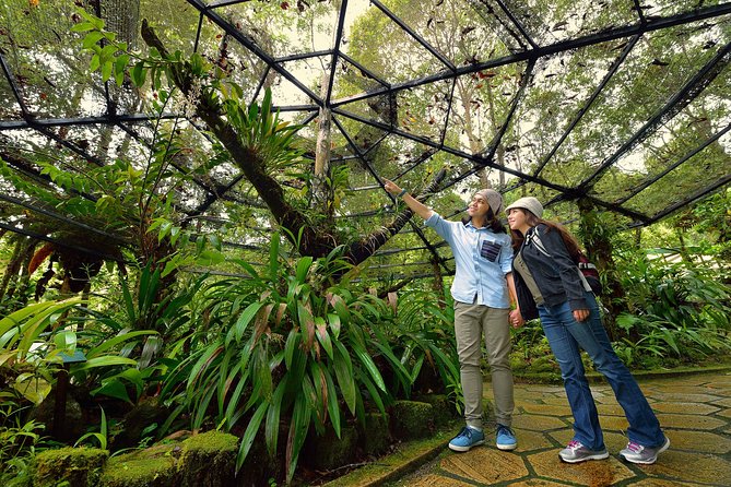 Full-Day Kinabalu Park and Poring Hot Spring Day Trip - Kinabalu Park and its remarkable plant life