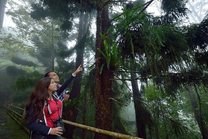 Full-Day Kinabalu Park and Poring Hot Spring Day Trip - The early start from Kota Kinabalu