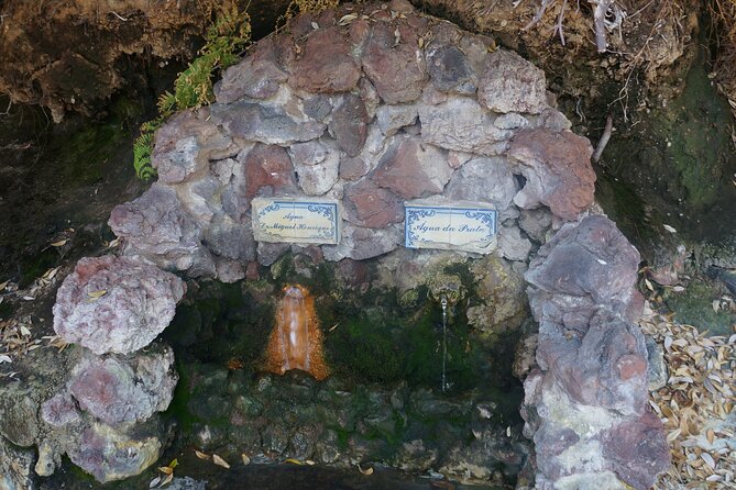 Full-Day Private São Miguel Tour with Furnas and Hot springs - What the $277.82 price really buys