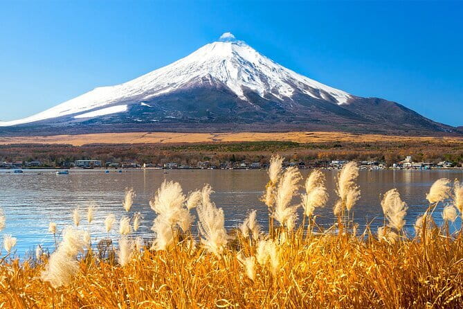 Full Day Tour at Mt. Fuji, Onsen, Lake Kawaguchi and Yamanaka - What this Mount Fuji day trip is really like