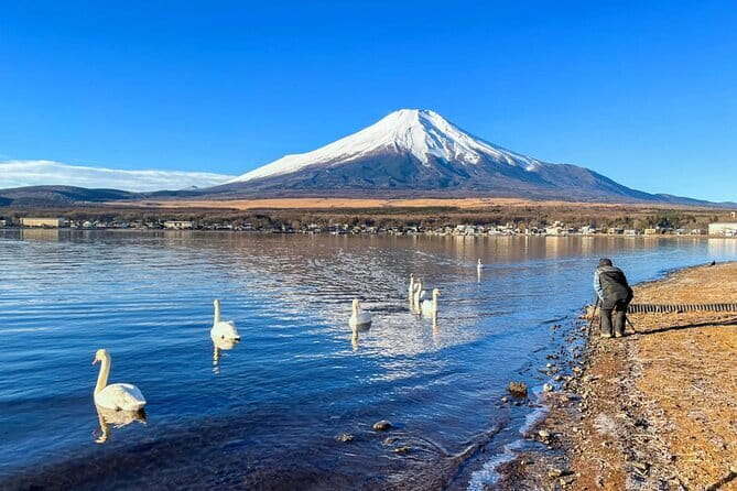 Full Day Tour at Mt. Fuji, Onsen, Lake Kawaguchi and Yamanaka - The vehicle and group setup need careful attention