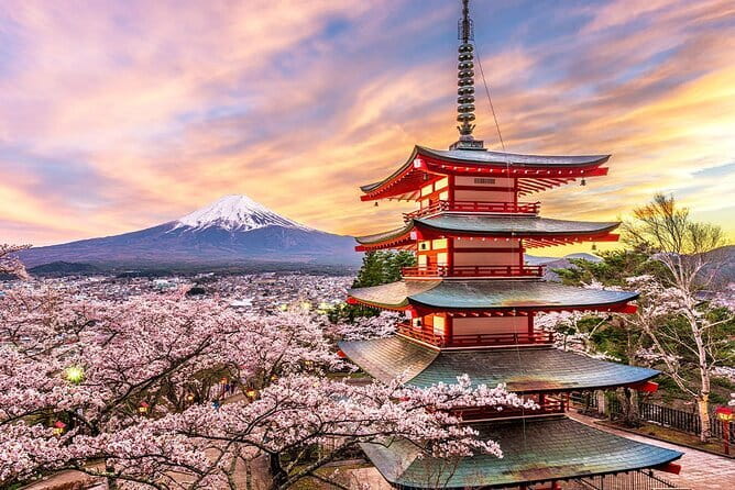Full Day Tour at Mt. Fuji, Onsen, Lake Kawaguchi and Yamanaka - How much value do you get for $49.97?