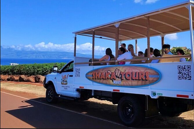 Fun! Open-Air Banyan Tree Forest & Blowhole Sight-Seeing MauiTour - Why this short West Maui tour works