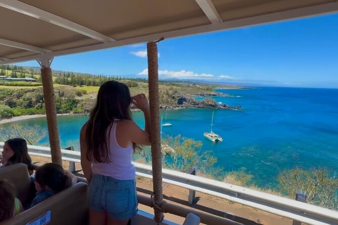 Fun! Open-Air Banyan Tree Forest & Blowhole Sight-Seeing MauiTour - Kapalua Resort and the northern coast