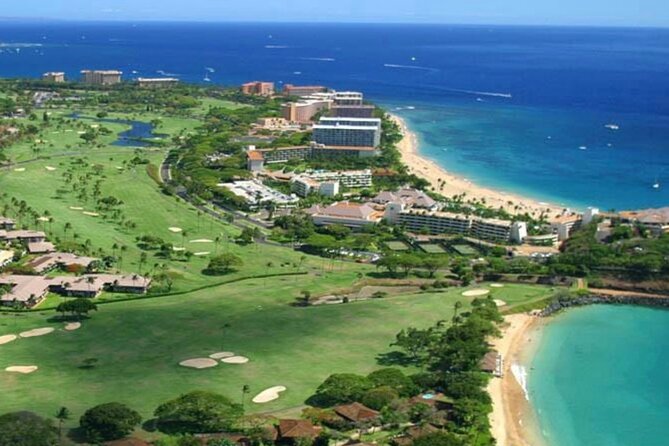 Fun! Open-Air Banyan Tree Forest & Blowhole Sight-Seeing MauiTour - The banyan tree forest and a different kind of Maui