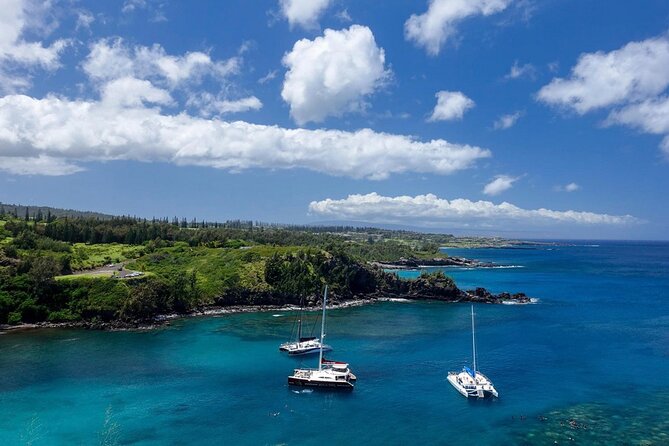 Fun! Open-Air Banyan Tree Forest & Blowhole Sight-Seeing MauiTour - West Maui Mountain views from the road