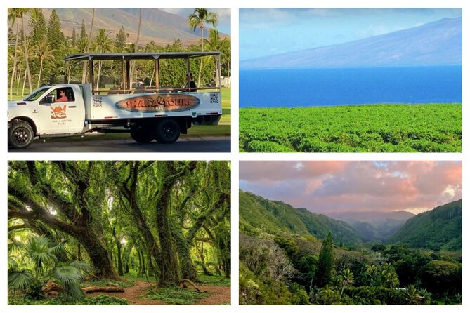 Fun! Open-Air Banyan Tree Forest & Blowhole Sight-Seeing MauiTour - Starting at Whalers Village in Kāʻanapali