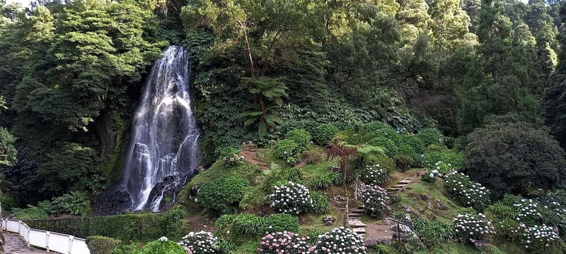 Furnas: Hot Springs, Crater Lake & Geothermal Wonders - Why this São Miguel day tour works