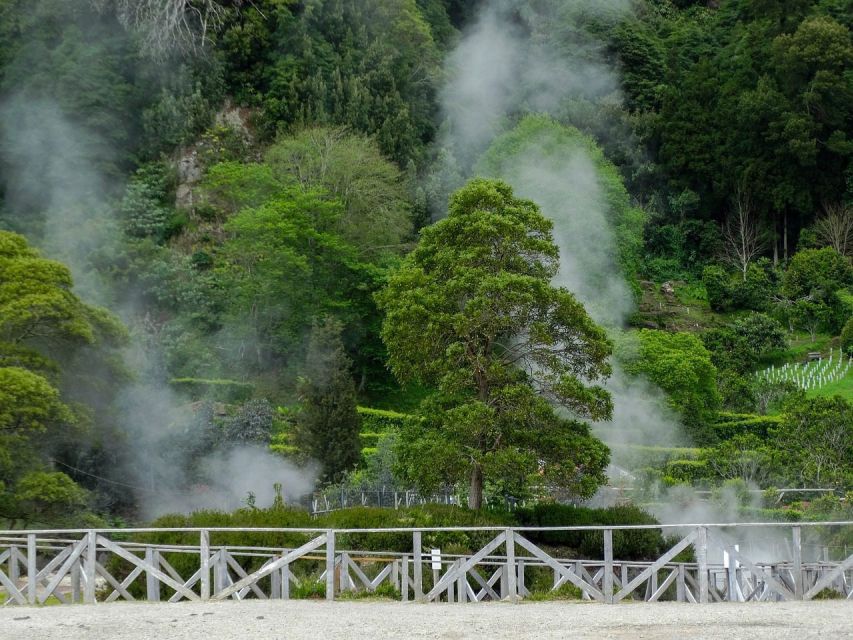 Furnas: Thermal Springs & Tea Plantation Day Tour with Lunch - Key points to know before booking