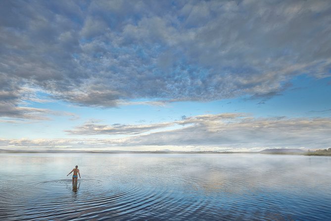 Golden Circle and Laugarvatn Fontana Geothermal Tour from Reykjavik - Who should book this experience?