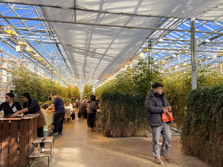 Golden circle, hot spring bakery, tomato farm private tour - Timing, transport, and the private format