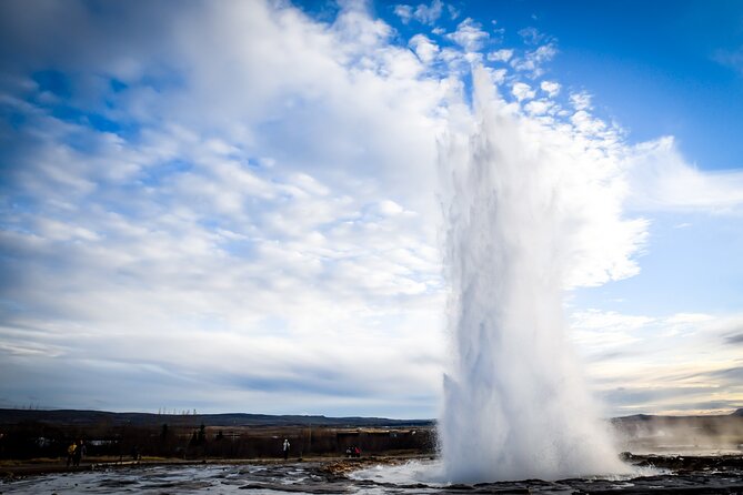 Golden Circle, Secret Lagoon & Friðheimar (Small Group) - Friðheimar: geothermal tomatoes and a real lunch choice