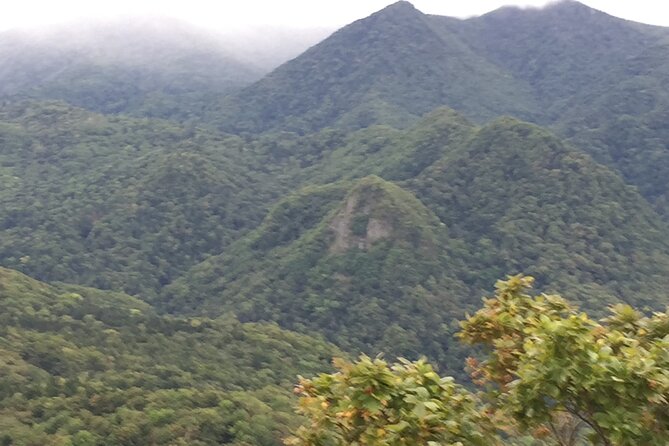 Green Season Half Day Hikes in Sapporo and Hokkaido with Onsen - What Chris adds to the outing