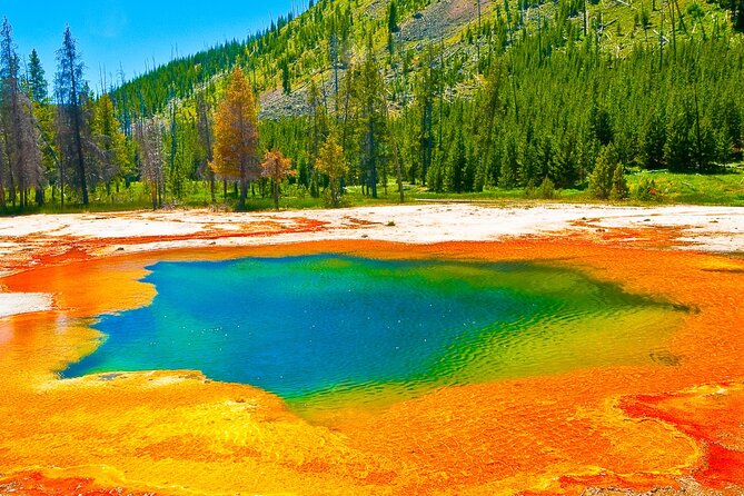 Guided Yellowstone Hot Spring & Geyser Basin Tour - Key Points to Know Before You Book
