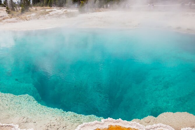 Guided Yellowstone Hot Spring & Geyser Basin Tour - Hayden Valley and the Wildlife Watch