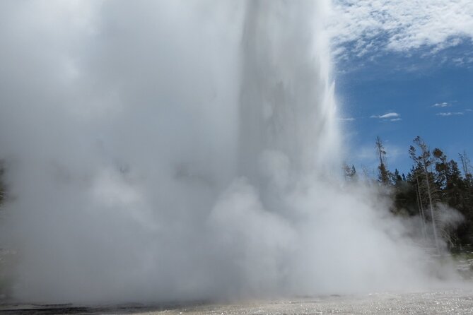 Guided Yellowstone Hot Spring & Geyser Basin Tour - Mud Volcano’s Unusual Geothermal Activity