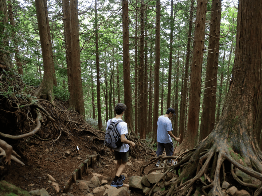 Hakone: Traverse the Hakone Caldera and Enjoy Onsen - FAQ