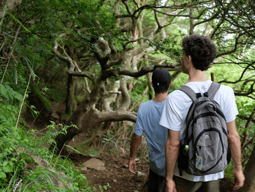 Hakone: Traverse the Hakone Caldera and Enjoy Onsen - Fitness, Gear, and Weather Advice