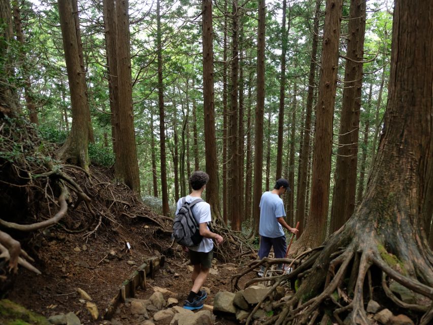 Hakone: Traverse the Hakone Caldera and Enjoy Onsen - Who Should Book This Hakone Experience?