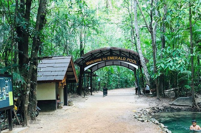 Half Day Jungle Tour to Emerald pool and Krabi Hot Spring - The real cost: $39.25 plus the park fee