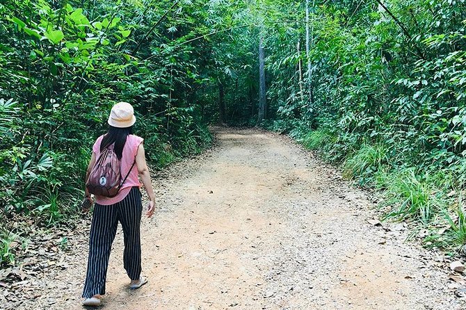 Half Day Jungle Tour to Emerald pool and Krabi Hot Spring - Crowds, timing, and the best way to enjoy it