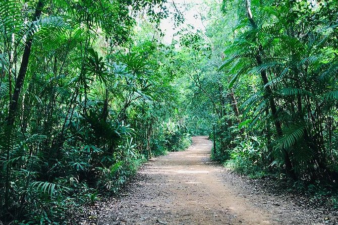 Half Day Jungle Tour to Emerald pool and Krabi Hot Spring - Who will enjoy this Krabi excursion?
