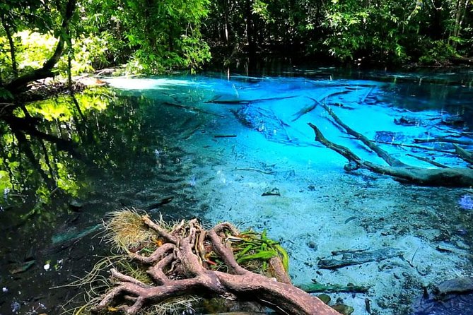 Half Day Jungle Tour to Emerald pool and Krabi Hot Spring - Namtok Ron and the warm waterfall pools