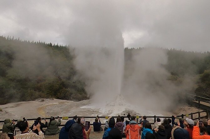 Half-Day Tour - Ex Rotorua: WAI-O-TAPU Thermal Wonderland - Why the colors and steam matter