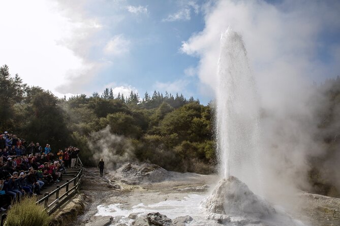 Half-Day Tour - Ex Rotorua: WAI-O-TAPU Thermal Wonderland - The value of $104.88 per person