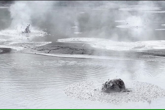 Half-Day Tour - Ex Rotorua: WAI-O-TAPU Thermal Wonderland - Who will enjoy this four-hour outing