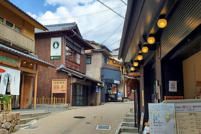 Himeji Castle, Arima Onsen & Mt. Rokko: 1-Day Bus Tour from Osaka - Himeji Castle: the clear star of the day