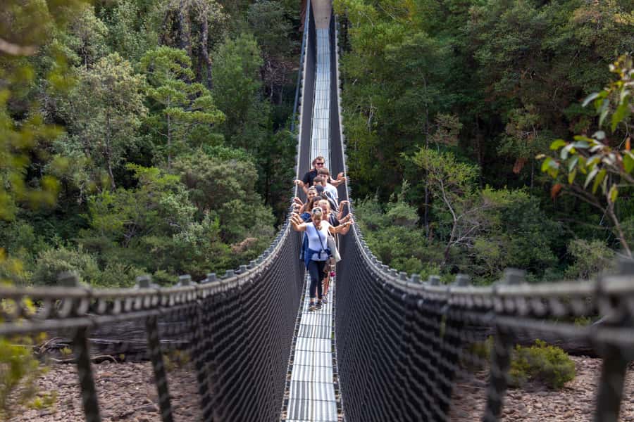 Hobart: Tahune Airwalk, Hastings Cave, Thermal Springs Tour - Key points at a glance