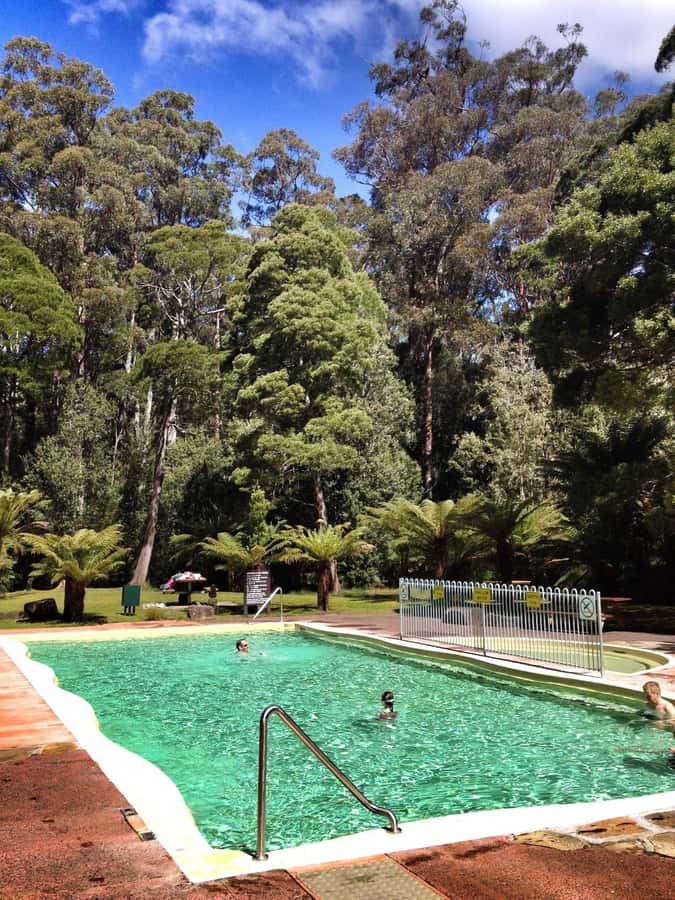 Hobart: Tahune Airwalk, Hastings Cave, Thermal Springs Tour - Choosing between Tahune’s longer and shorter walks