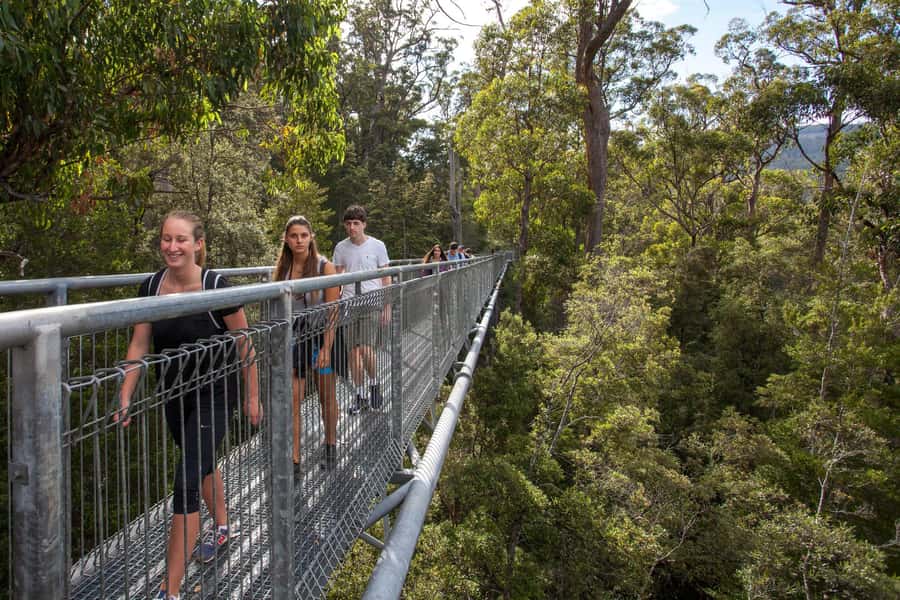 Hobart: Tahune Airwalk, Hastings Cave, Thermal Springs Tour - Hastings Cave and its cool underground chambers