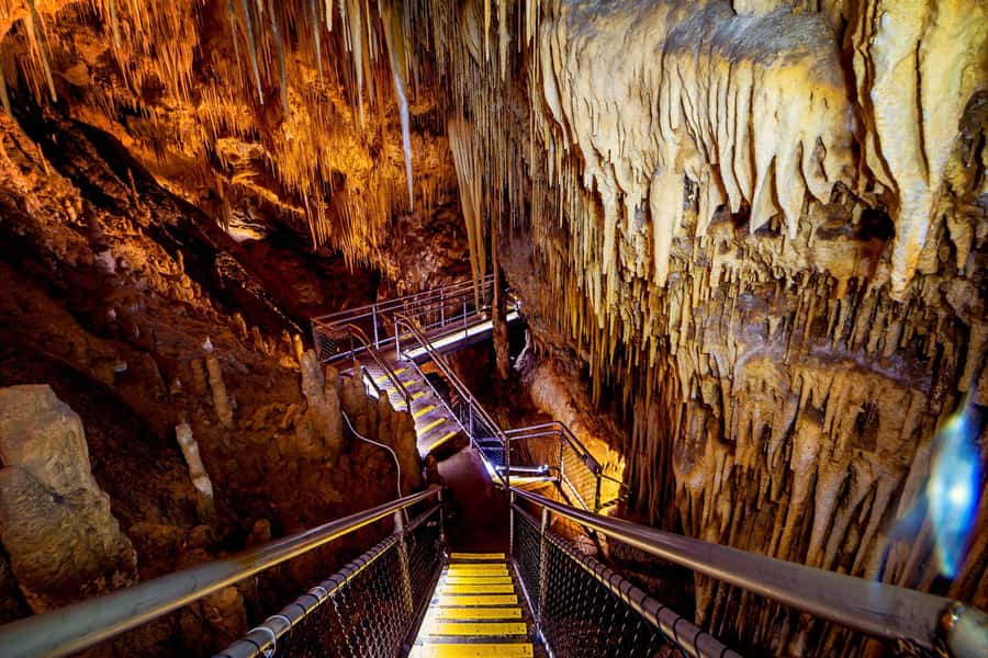 Hobart: Tahune Airwalk, Hastings Cave, Thermal Springs Tour - Tahune Airwalk: treetops, river views, and a little motion