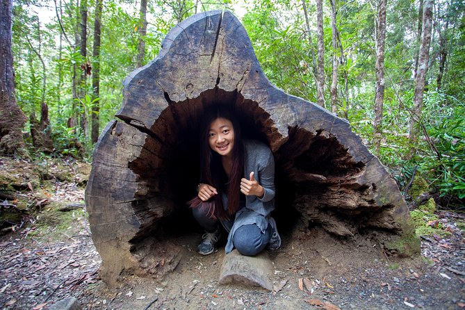 Hobart: Tahune Airwalk, Hastings Caves & Thermal Springs Pool - A long southern Tasmania day from Hobart
