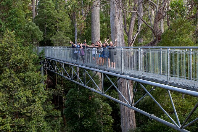 Hobart: Tahune Airwalk, Hastings Caves & Thermal Springs Pool - Ancient trees, river bridges, and the value of slowing down