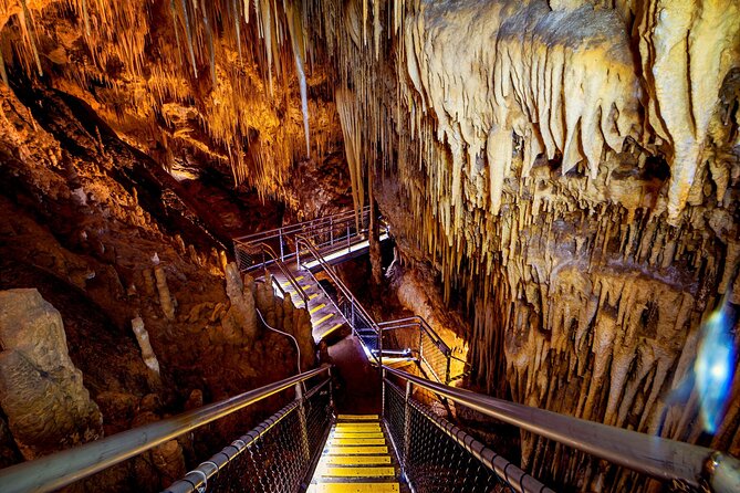 Hobart: Tahune Airwalk, Hastings Caves & Thermal Springs Pool - Tahune Airwalk: Tasmania from 40 metres up
