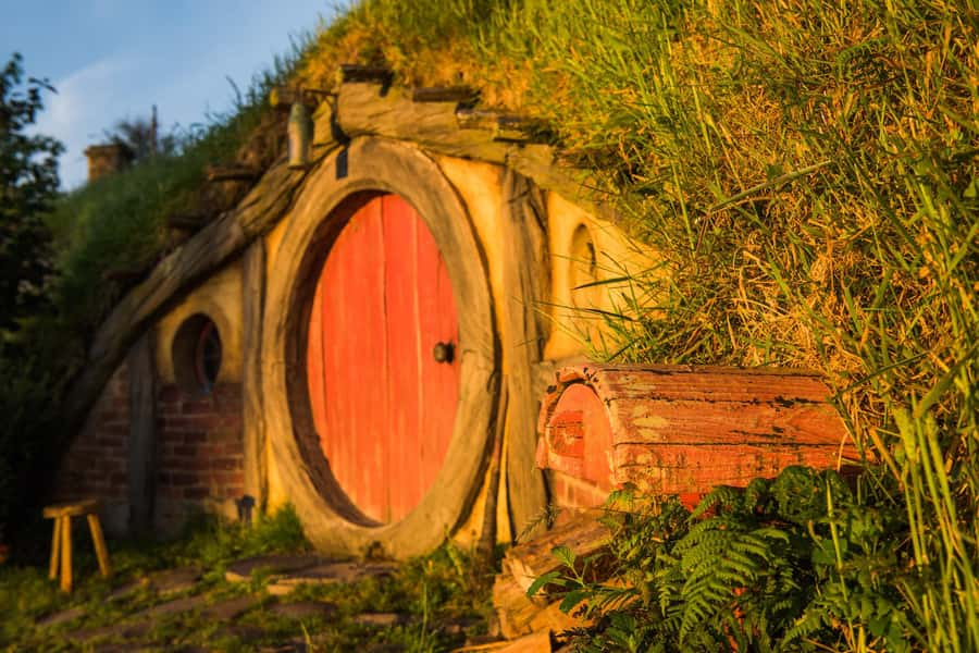 Hobbiton Movie Set & Te Puia Geothermal Valley Private Tour - The kiwi enclosure at Nga Manu Ahurei
