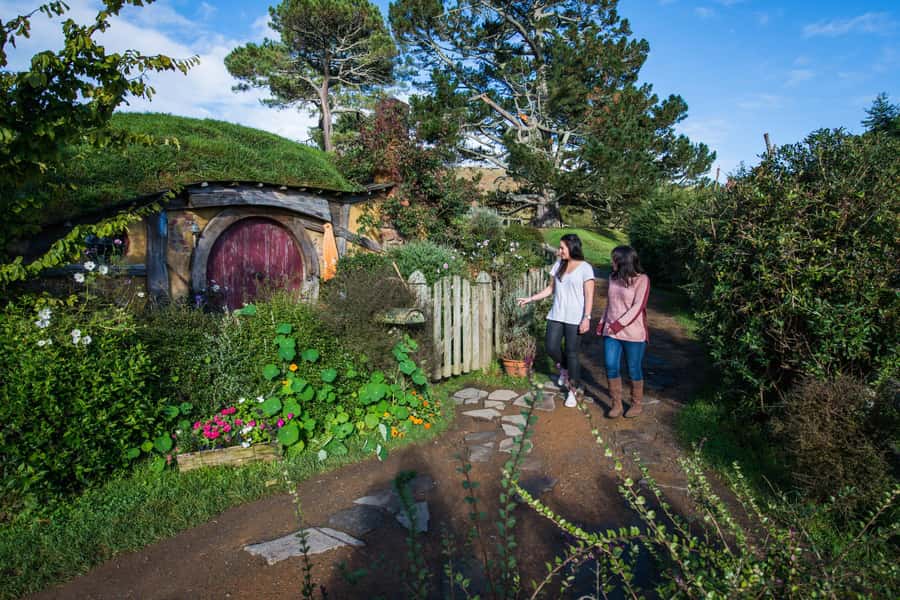 Hobbiton Movie Set & Te Puia Geothermal Valley Private Tour - The drive from Auckland to Hobbiton